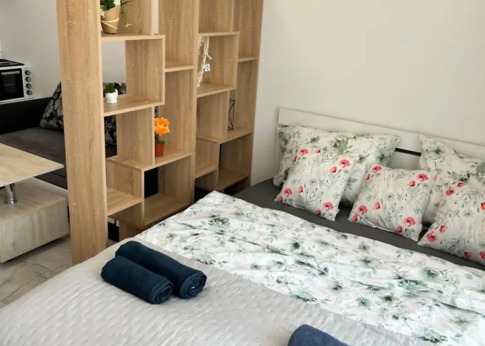 Dream мечта * Słoneczny Brzeg